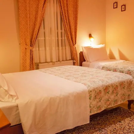 Pensiune Venetula's Mansion